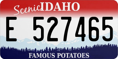 ID license plate E527465