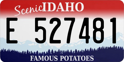 ID license plate E527481