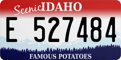 ID license plate E527484