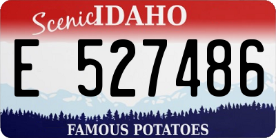 ID license plate E527486