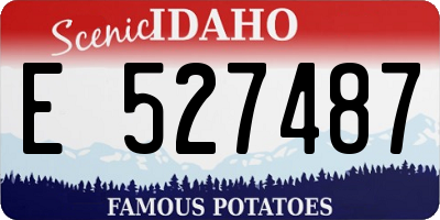ID license plate E527487