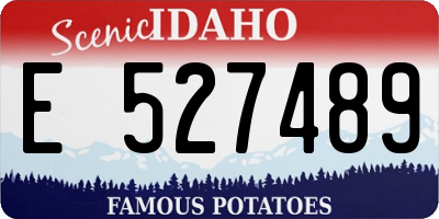 ID license plate E527489