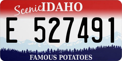 ID license plate E527491