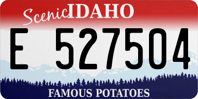 ID license plate E527504