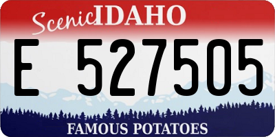 ID license plate E527505