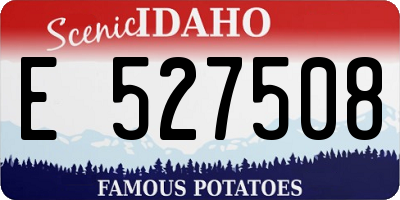 ID license plate E527508