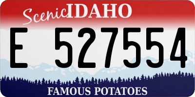 ID license plate E527554