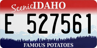 ID license plate E527561