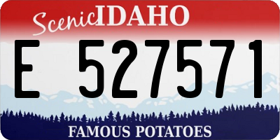 ID license plate E527571