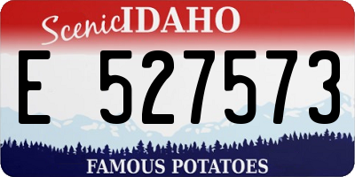 ID license plate E527573