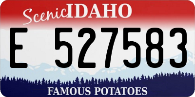 ID license plate E527583