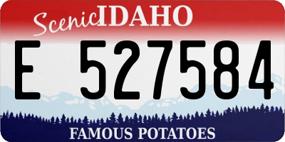 ID license plate E527584