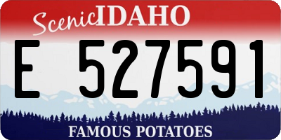 ID license plate E527591