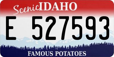 ID license plate E527593