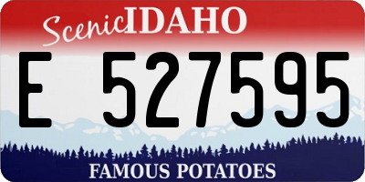 ID license plate E527595
