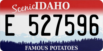 ID license plate E527596
