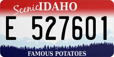 ID license plate E527601