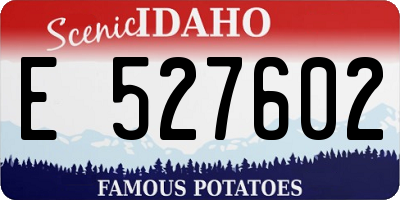 ID license plate E527602