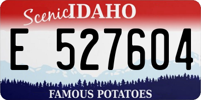 ID license plate E527604