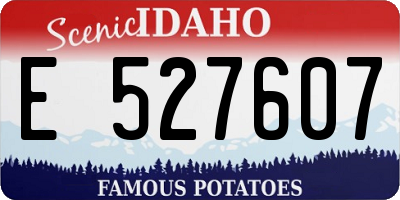 ID license plate E527607