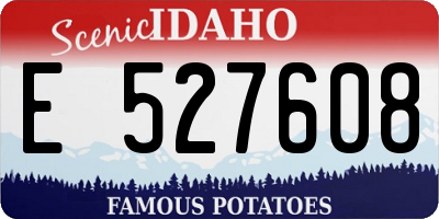 ID license plate E527608