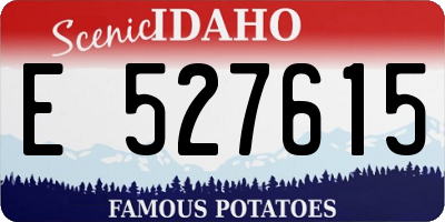 ID license plate E527615