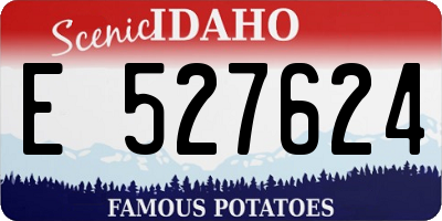 ID license plate E527624