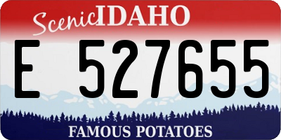 ID license plate E527655