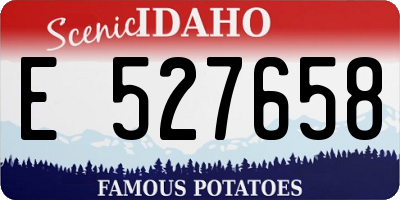 ID license plate E527658