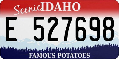 ID license plate E527698