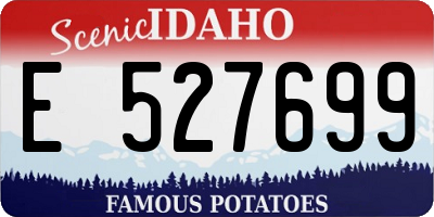 ID license plate E527699