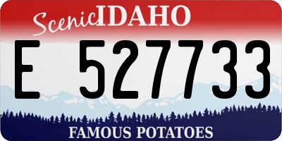 ID license plate E527733