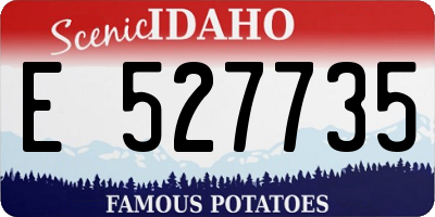 ID license plate E527735