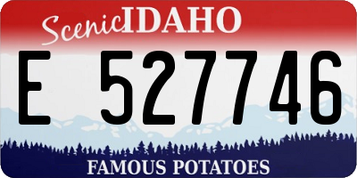 ID license plate E527746