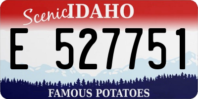 ID license plate E527751