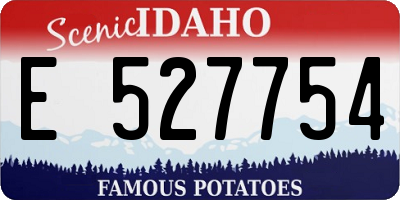 ID license plate E527754