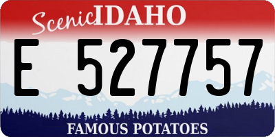 ID license plate E527757