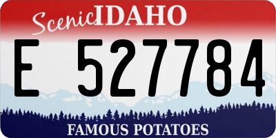 ID license plate E527784
