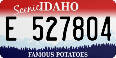 ID license plate E527804