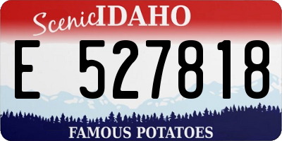 ID license plate E527818