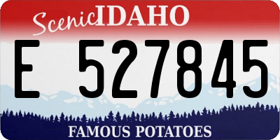 ID license plate E527845