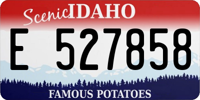 ID license plate E527858
