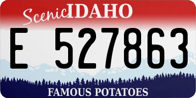 ID license plate E527863