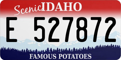 ID license plate E527872