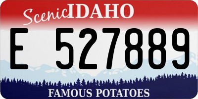ID license plate E527889