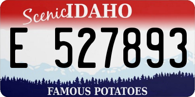 ID license plate E527893