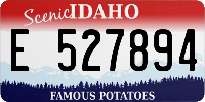ID license plate E527894