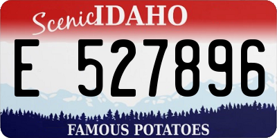 ID license plate E527896