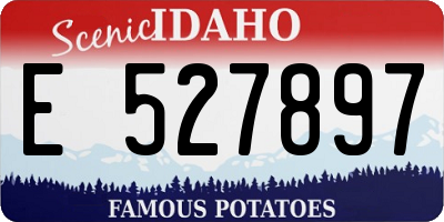 ID license plate E527897