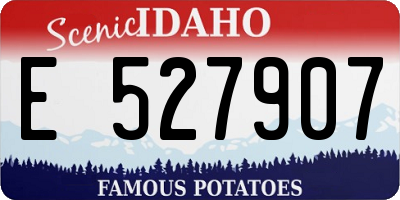 ID license plate E527907